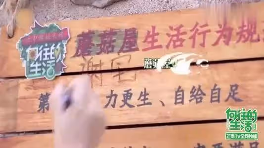 「太陽女神」謝娜，曾經火遍大江南北，現在怎麼「翻車」了