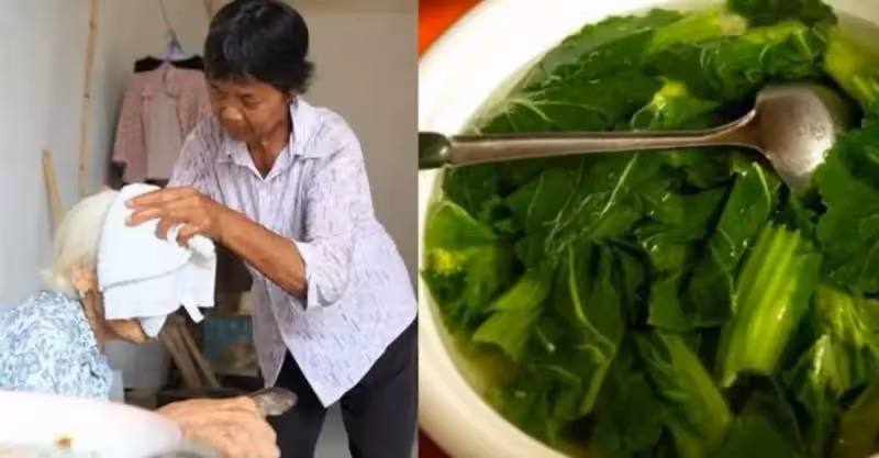 兒子離開後！兒媳照顧婆婆「10年天天喝青菜湯」被讚孝順， 臨走前卻說：媽，我的存款都留給你