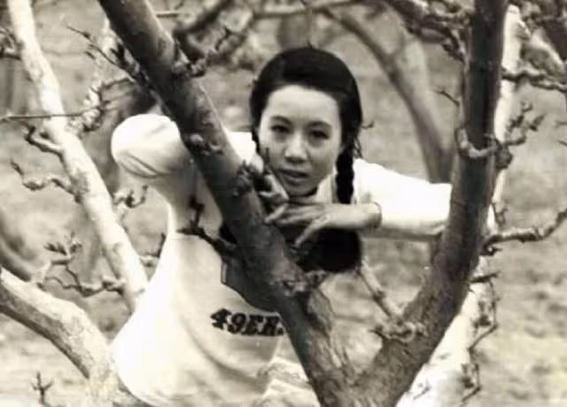 韓國「奶奶」年輕照:都是美人坯子,有的多年未變,有的已認不出