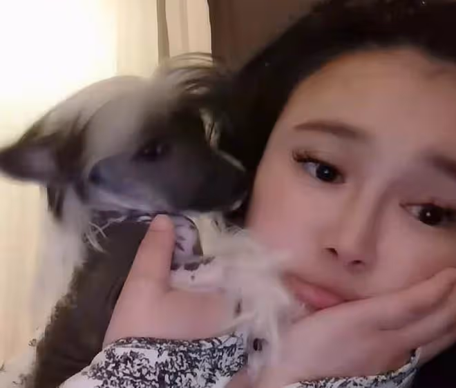 冉瑩穎深夜自曝小區被封，無處可去天天做核酸，在家與狗相伴遭嫌