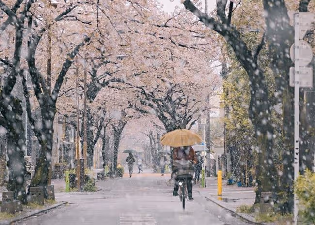 婆婆抱怨兒媳不做家務，兒子勸母親說：媽，我們有我們的活法