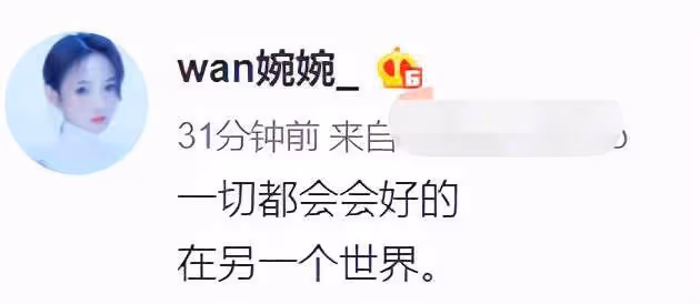 23歲博主留遺書再次跳湖自殺，稱受夠了詆毀，實名舉報高管仍無果
