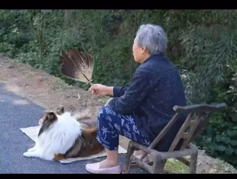 晚年不靠子女！68歲退休阿姨後悔自述：「存錢給自己養老」是我這輩子最蠢的決定