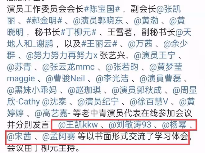 眾星出席中視協視頻會議!陳寶國神采奕奕,張凱麗面色不佳顯嚴肅