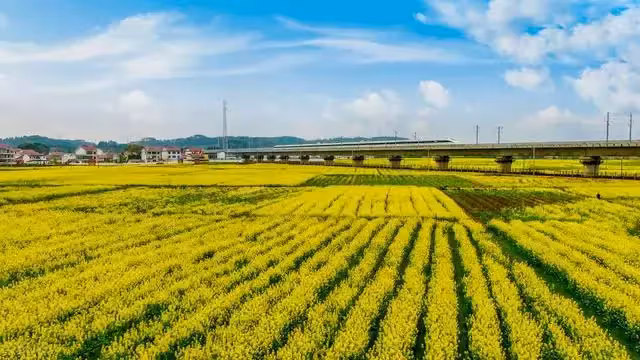 婆婆到兒子家養老五年,兒媳回娘家五年,媳婦:當初約定不能違背