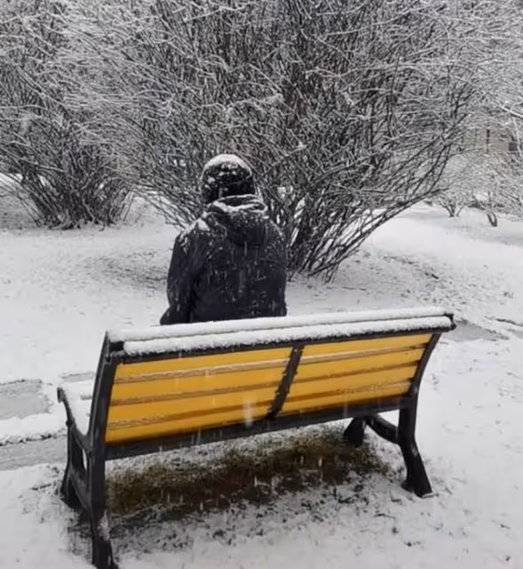 64歲潘長江風波後首現身，神情落寞心事重重，身上落滿雪背影淒涼