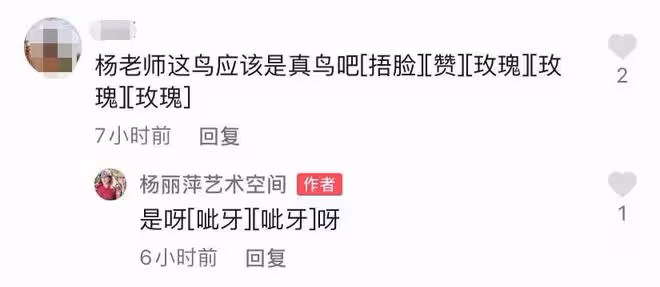 63歲楊麗萍與友聚餐惹爭議！腳踩座椅頭頂小飛鳥，胸前大玉佩矚目