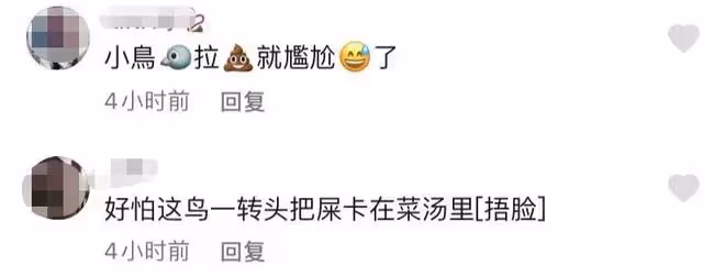 63歲楊麗萍與友聚餐惹爭議！腳踩座椅頭頂小飛鳥，胸前大玉佩矚目