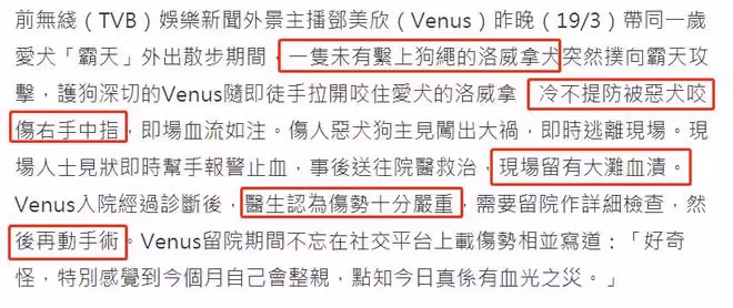 28歲女星被不栓繩大狗咬傷!現場有大灘血跡,傷勢嚴重需動手術