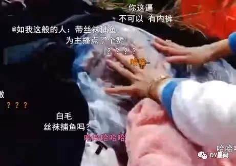 熱議｜超管現場警告未果！戶外主播荒野生存，女嘉賓嗨絲辣舞被「封禁」！