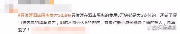 韓媒曝:具俊曄與大S即將合體,召開記者會!公開復合、結婚細節