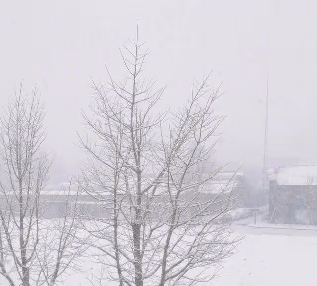 31歲李沁近況曝光,曬出春日雪景自拍,長發飄飄超有氣質