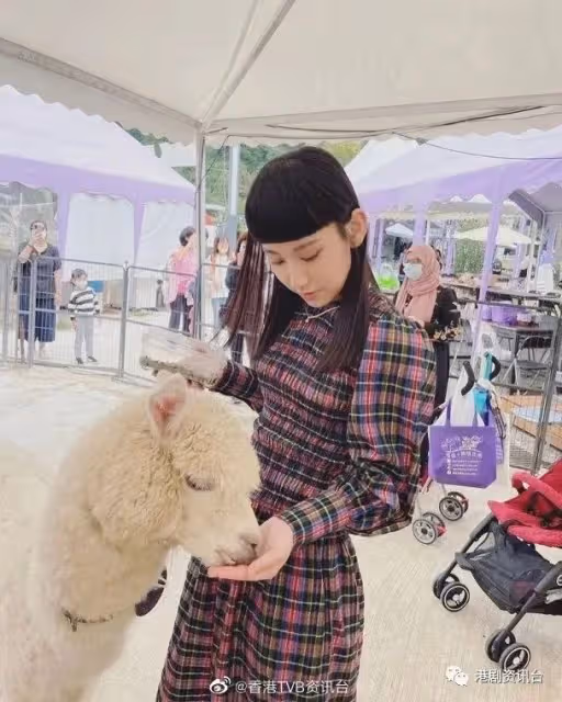 媽媽操刀拍性感孕照！何雁詩要安慰自己