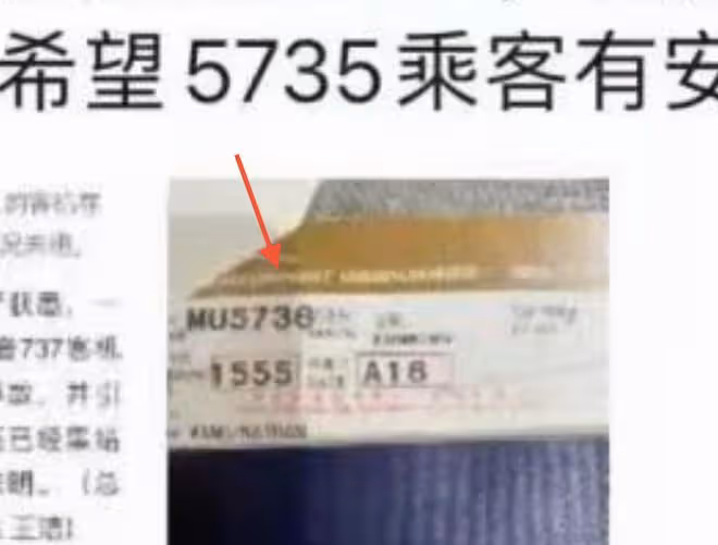 楊麗萍經紀人成墜機事件幸運兒！未上飛機保住性命，本人發文感慨