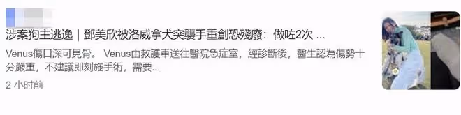 28歲女星被狗咬傷恐將殘廢！已做2次手術，狗主人至今不見蹤影