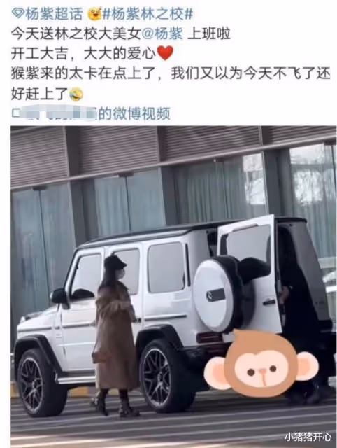 楊紫被資本強塞餅?大S簽婚前協議保財產?劉憲華遭網暴?
