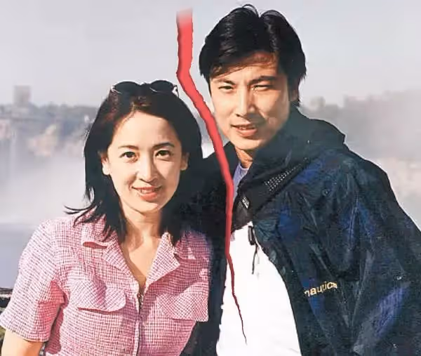 寧願不要20年婚姻?林煒正宮曾被讚「氣質不輸趙雅芝」神仙眷侶「輸給強勢小三」男方認:找到真愛