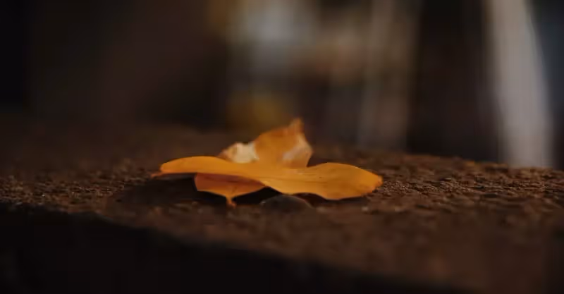 把癱瘓老伴送進養老院，面對老伴苦苦哀求：這一天，我等了20年