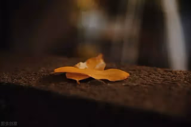 把癱瘓老伴送進養老院，面對老伴苦苦哀求：這一天，我等了20年