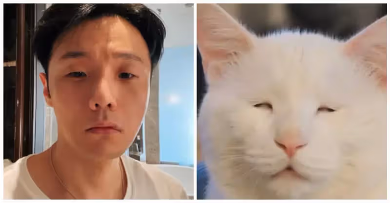 喵界李榮浩太鬧！22張「神撞臉名人的爆笑動物」對比照　一看「豆豆先生VS大眼貓頭鷹」像到分不出