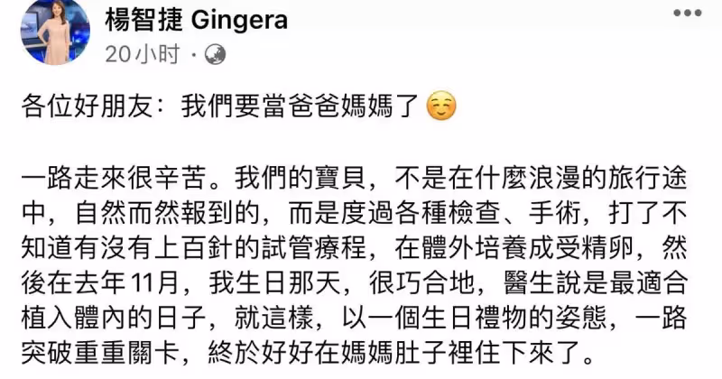 39歲女主播楊智捷官宣懷雙胞胎!結婚6年試管打百針,孕期狂吐太痛苦:兩個孩子來之不易