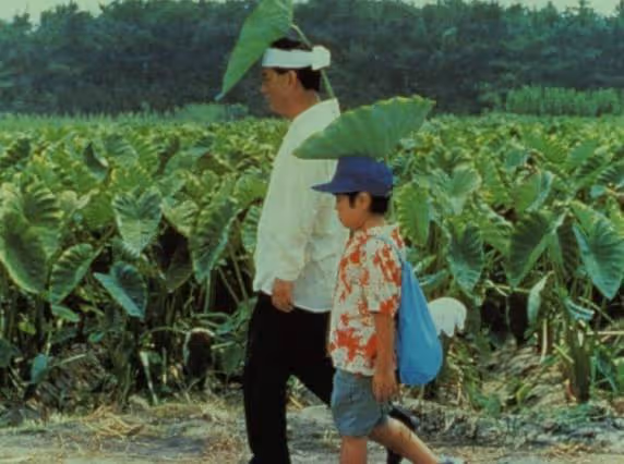 北野武,72歲200億日元天價離婚後,滾燙人生依舊開掛