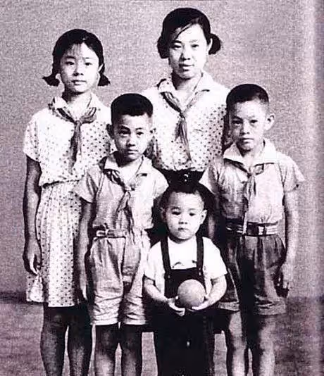 同樣是李連杰的老婆,把前妻黃秋燕和利智一對比,差距就出來了