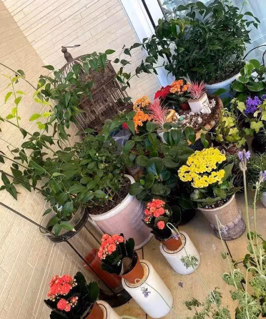 黎姿「頂級豪宅」曝光!超大落地窗,身後就是維港,風景很美 網贊:像皇宮一樣大