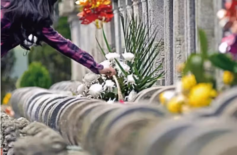 清明將至!老人說「上墳不帶四果,家宅不生災禍」四果指哪4個 不要帶錯了