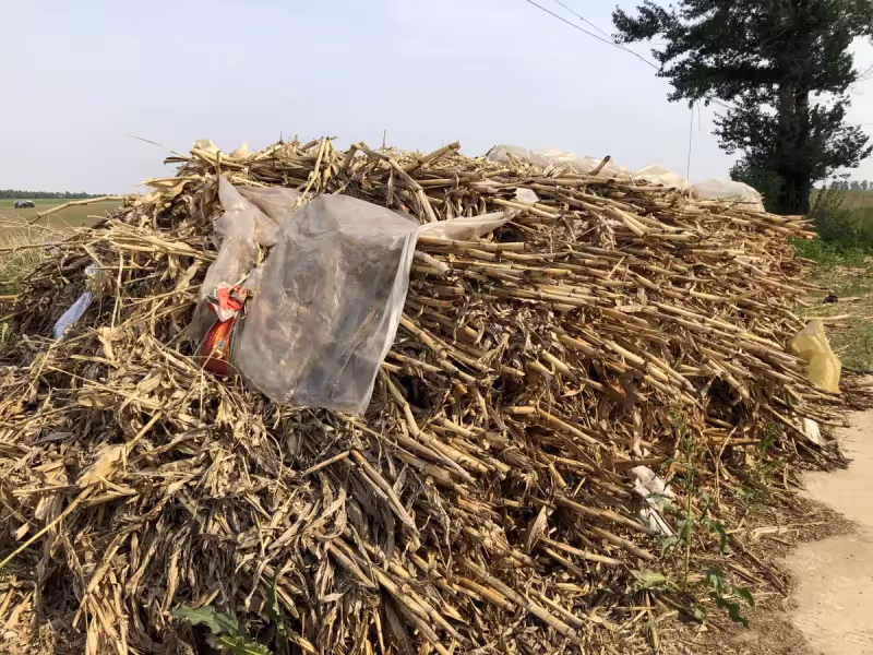 負人情債活著！老公家「窮親戚來串門」我半小時做8個菜　端上桌卻「無一人動筷子」：沒底線真可怕