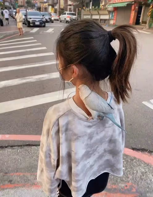 曹格一雙兒女大變樣!Joe帥氣迷人似換臉,當年的「包子臉醜萌姐姐」如今美到不敢認