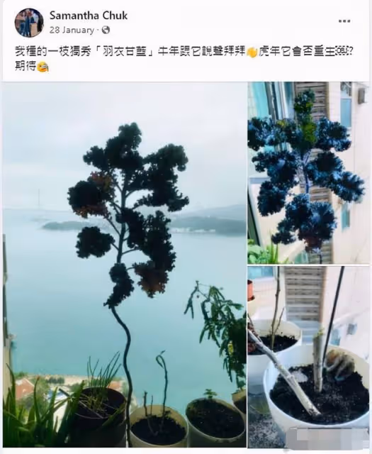 祝文君舉行送別儀式!眾星送花圈悼念,隱瞞病情兩年獨自在家吐血