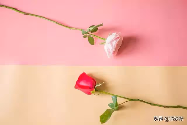 外嫁女兒請親媽伺候月子，弟媳婦鬧離婚施壓：你自己沒婆婆嗎？