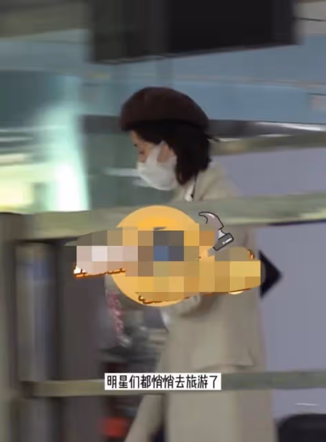 明星扎堆外出旅遊:陳坤遮擋嚴實、喬欣花枝招展,劉詩詩笑容滿面