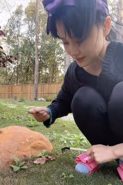 眾星因疫情被封控!黃齡上海豪華小院種花,王一楠隔離酒店吃泡麵