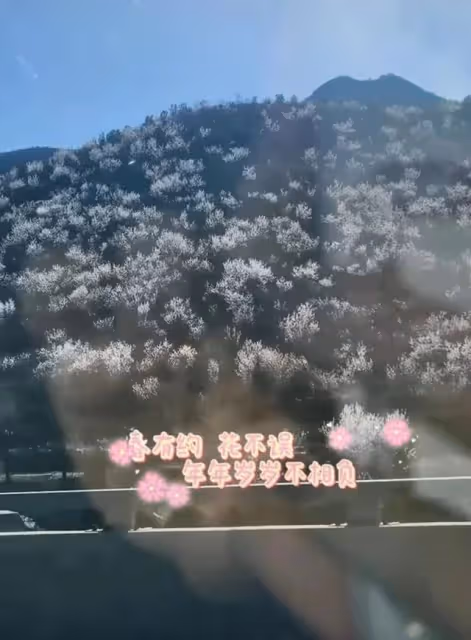 央視李思思帶娃外出春遊,穿著隨意坐姿霸氣,小腹凸起呈現幸福肥