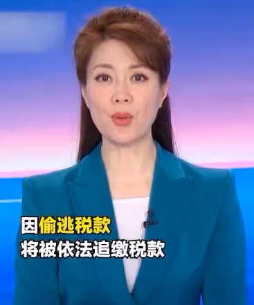 央視主持文靜長發出鏡播新聞，變化大被贊太漂亮，曾戴假短髮多年