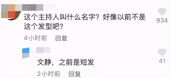 央視主持文靜長發出鏡播新聞，變化大被贊太漂亮，曾戴假短髮多年