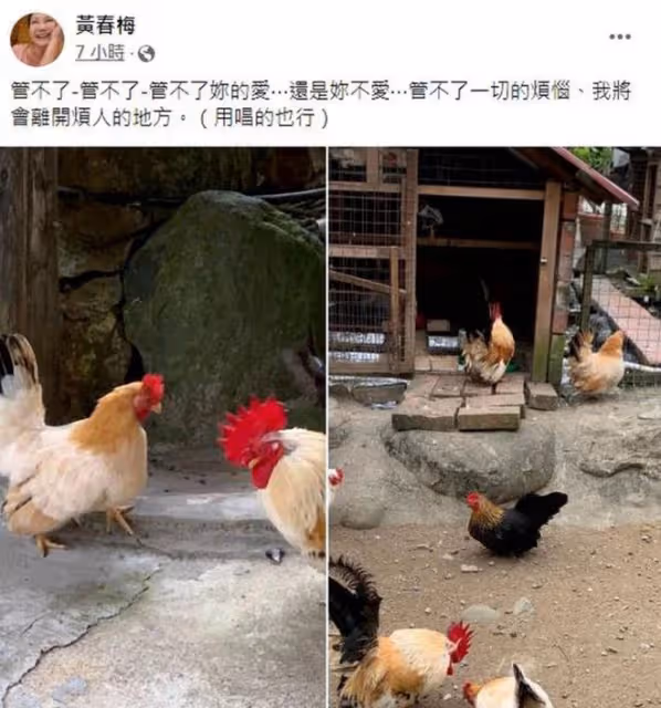 曝具俊曄隔離出關就和大S登記!女方經紀人拒回應,S媽仍怨氣未消