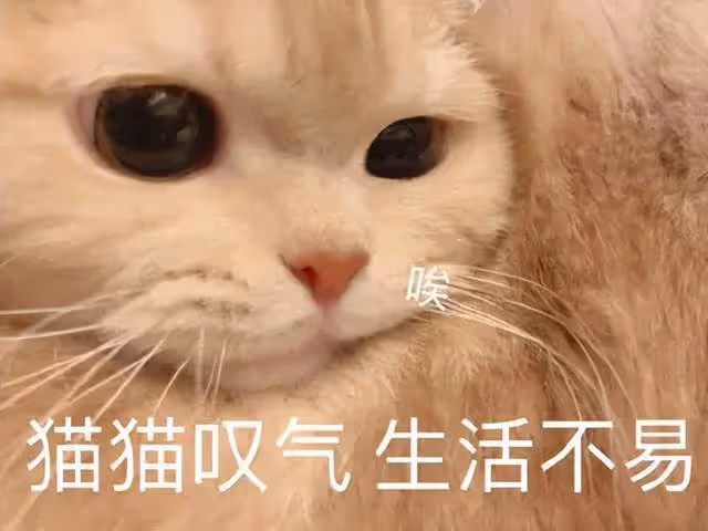 賣衛生巾裝尷尬,扮經典角色,全家上陣,過氣港星內地帶貨花招多