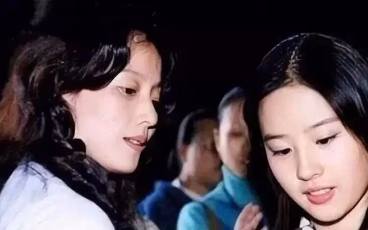 明星的媽媽有多好看?謝霆鋒媽媽太貓系,劉亦菲媽媽落落大方,劉德華媽媽簡單樸素