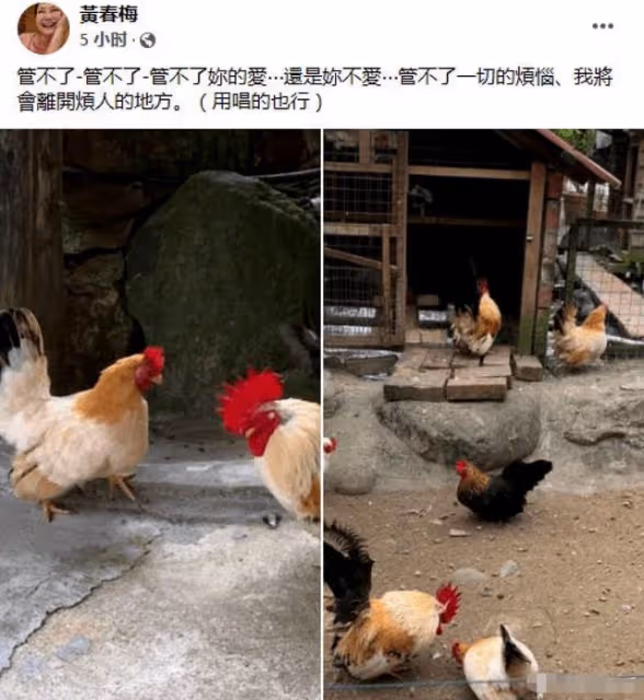 大S具俊曄已完成結婚登記!委託他人辦理,S媽氣到關閉社交帳號
