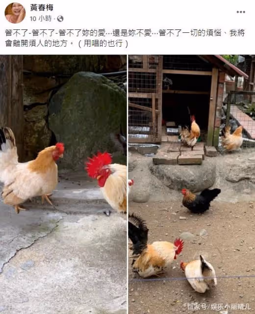 還沒破冰女婿?大S媽媽凌晨發文痛訴:管不了你我將離開