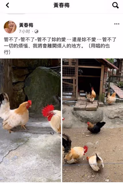 大S看到具俊曄真心,為新婆婆考慮登記結婚,S媽配圖發文太形象