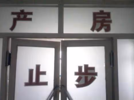 女子連生二個女孩被迫離婚，再嫁後卻生雙胞胎兒子，前婆婆傻了眼