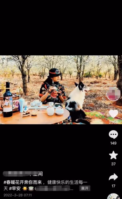楊麗萍穿增高鞋樹林遛狗,席地而坐不拘小節,桌上百元紅酒太搶眼