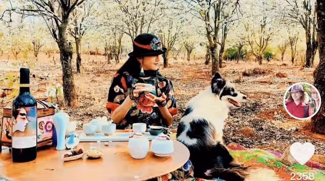 楊麗萍穿增高鞋樹林遛狗,席地而坐不拘小節,桌上百元紅酒太搶眼