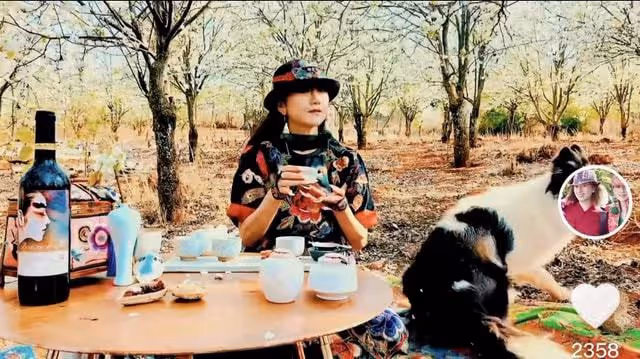 楊麗萍穿增高鞋樹林遛狗,席地而坐不拘小節,桌上百元紅酒太搶眼