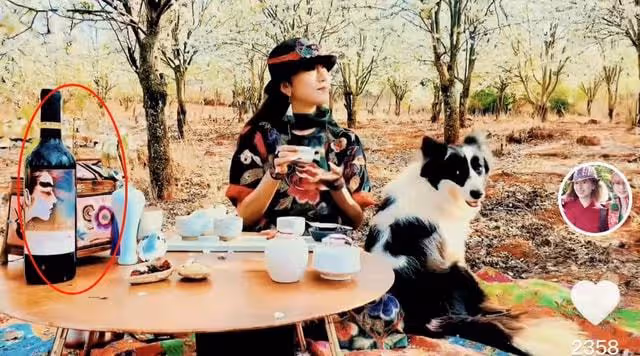 楊麗萍穿增高鞋樹林遛狗,席地而坐不拘小節,桌上百元紅酒太搶眼