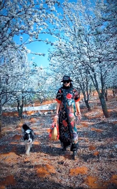 楊麗萍穿增高鞋樹林遛狗,席地而坐不拘小節,桌上百元紅酒太搶眼